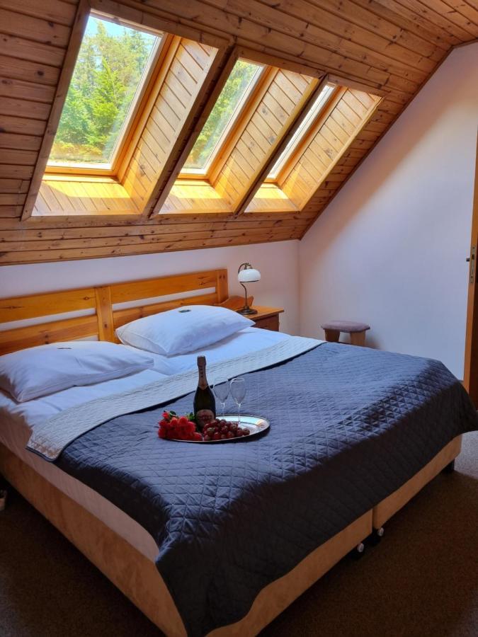 Karkonosze Hotel 3*