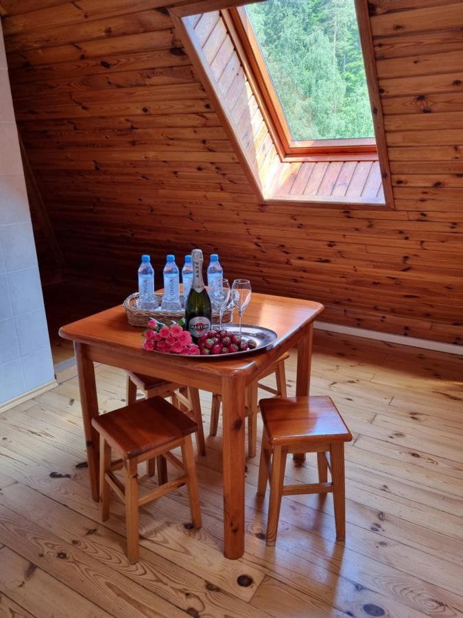 Karkonosze Hotel